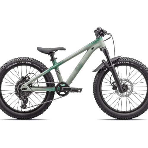 Bicicleta SPECIALIZED P.1 Trail - Satin Mettalic Pine Diffused