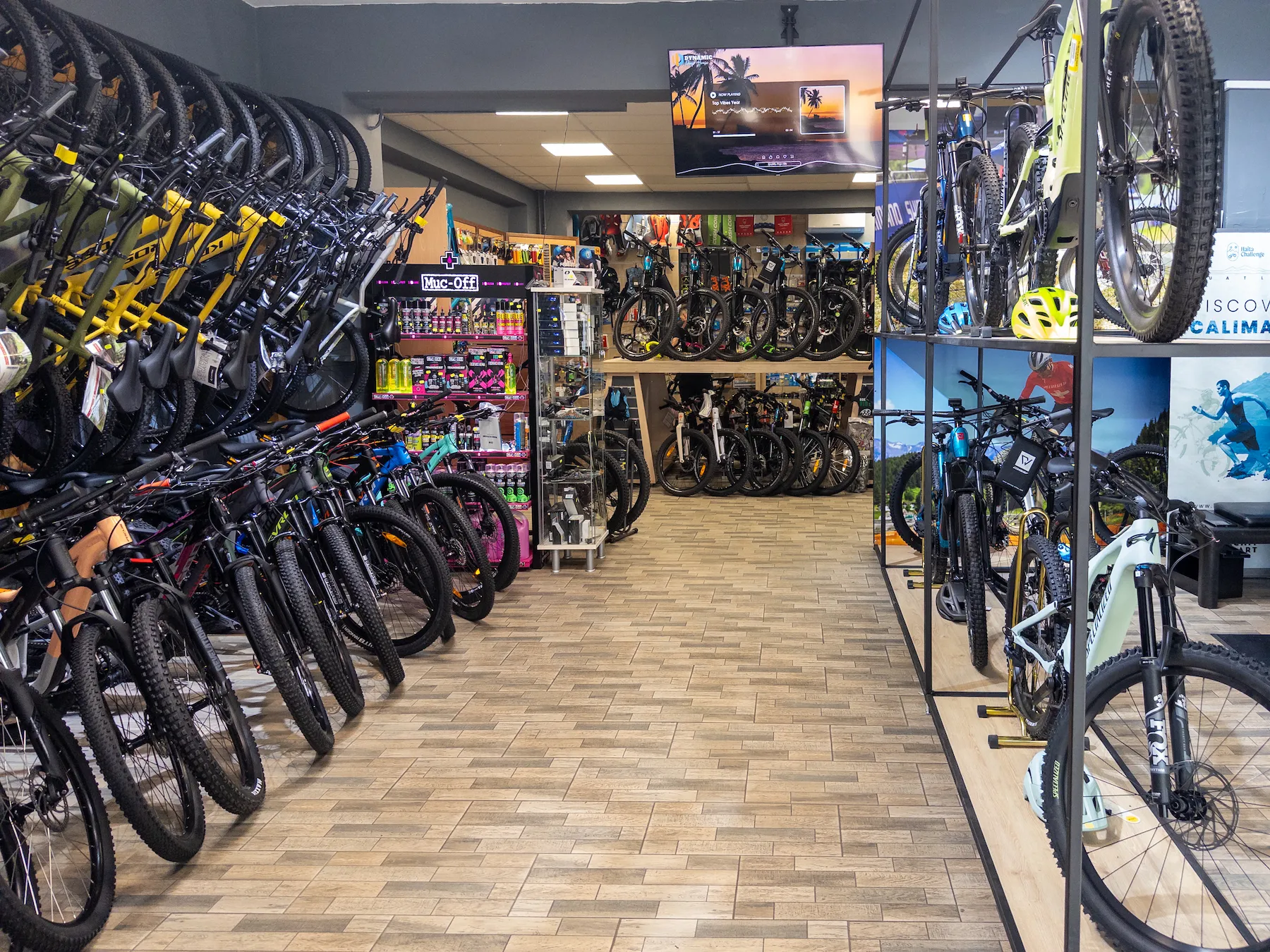 Johnny bike shop iasi
